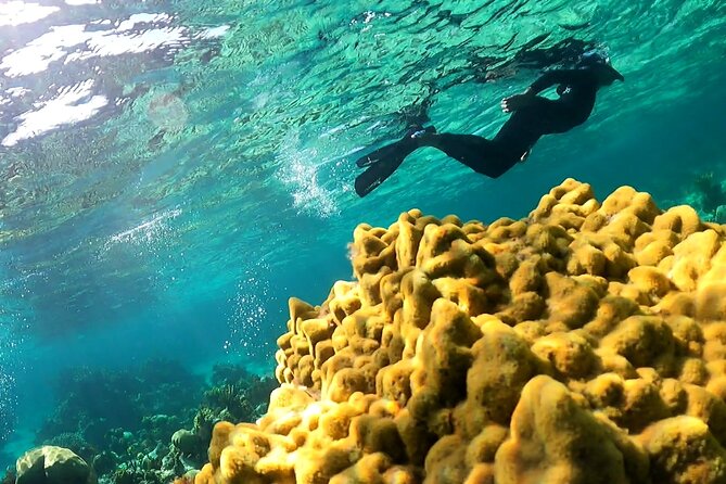 All-Inclusive Day-Trip From Nassau to Andros Bahamas - Bahamian Lunch Experience