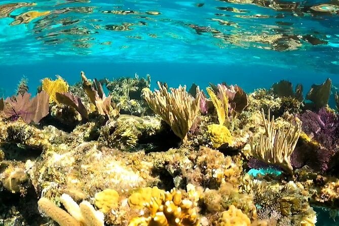 All-Inclusive Day-Trip From Nassau to Andros Bahamas - Pricing and Reviews
