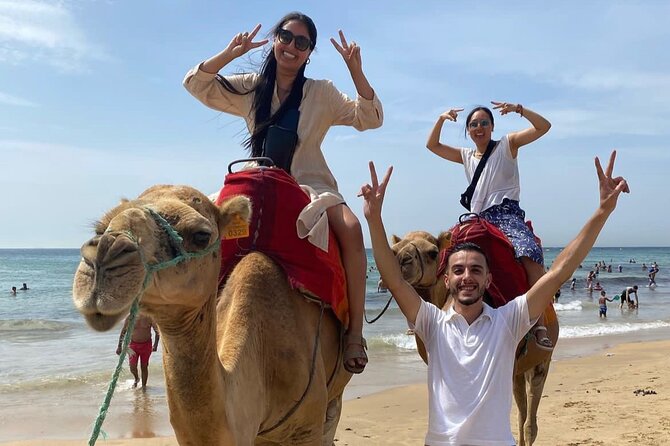 All-Inclusive Day Trip From Tarifa to Tangier - Traditional Moroccan Lunch