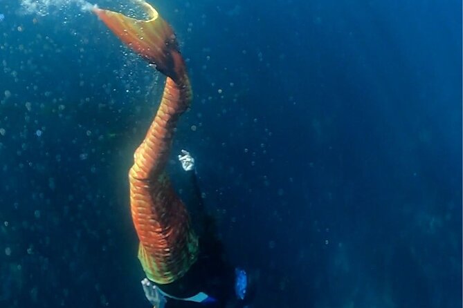 All Inclusive Day Trip to Catalina Island for a Mermaid Filmshoot - Overview of the Mermaid Experience