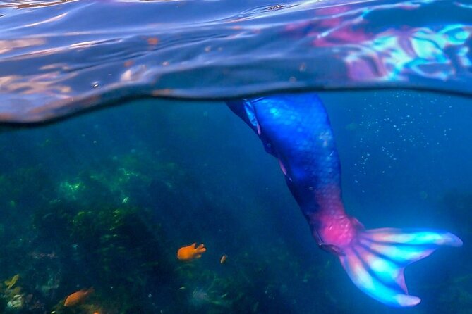 All Inclusive Day Trip to Catalina Island for a Mermaid Filmshoot - Meeting and Pickup Details