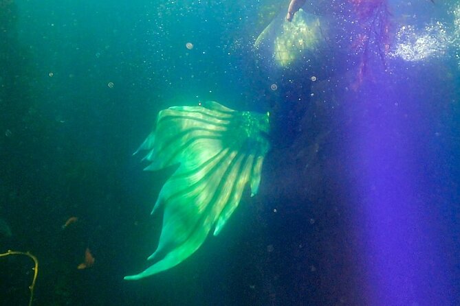 All Inclusive Day Trip to Catalina Island for a Mermaid Filmshoot - Health and Safety Considerations