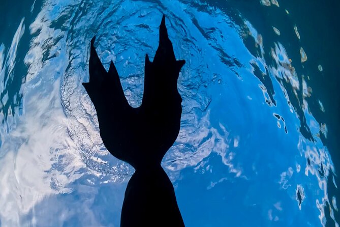 All Inclusive Day Trip to Catalina Island for a Mermaid Filmshoot - The Mermaid Filmshoot Process