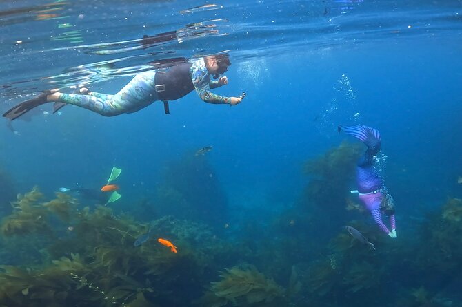 All Inclusive Day Trip to Catalina Island for a Mermaid Filmshoot - Frequently Asked Questions