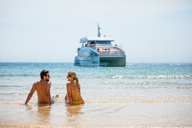 All-Inclusive Dolphin & Tangalooma Wrecks Day Cruise Brisbane - Marine Life and Snorkeling