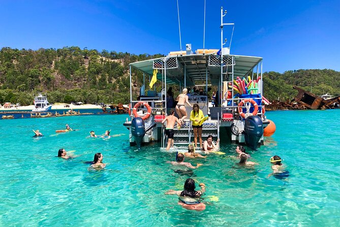 All-Inclusive Dolphin & Tangalooma Wrecks Day Cruise (Gold Coast Transfer) - Wildlife Encounters