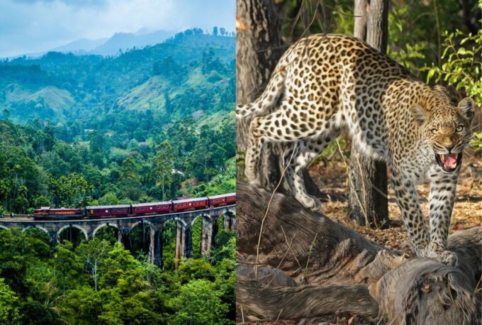 All Inclusive Ella Scenic Train Journey With Yala Safari - Wildlife and Photography