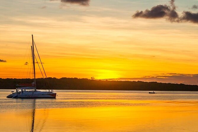 All Inclusive Full-Day North of Mauritius Private Tour With Lunch - Accessibility and Transportation