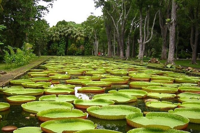 All Inclusive Full-Day North of Mauritius Private Tour With Lunch - Pricing and Cancellation