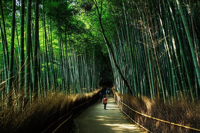 All Inclusive Full Day Private Kyoto Sightseeing Tour - Travel Support
