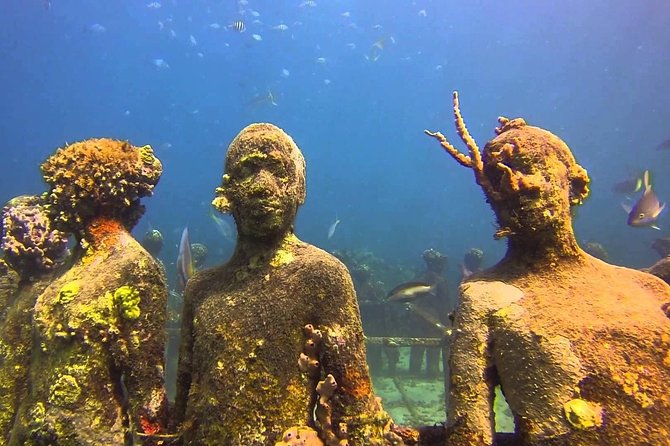 ALL INCLUSIVE Full Day Snorkeling & Sunset Cruise With Boat Dogs - Inclusions