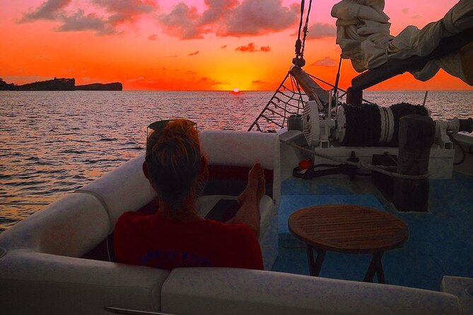 ALL INCLUSIVE Full Day Snorkeling & Sunset Cruise With Boat Dogs - Underwater Sculpture Park