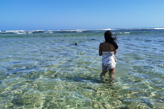 All Inclusive Full-Day Tour in Sal Island (Lunch and All Fees Included) - Mirage and Fishing Port Sights