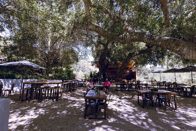 All-Inclusive Full-Day Wine Tasting Tour From Santa Ynez Valley - Tour Duration and Start Time