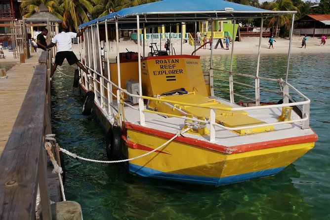 All Inclusive Glass Bottom Boat Wild Life Encounter and Beach - Key Points