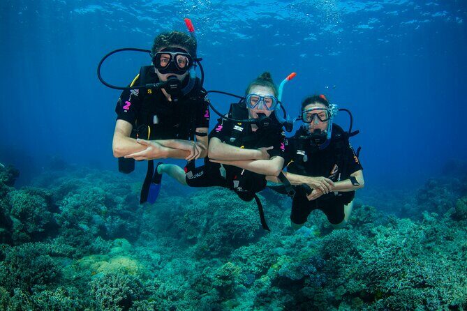 All Inclusive Great Barrier Reef Cruise w optional Scuba Diving - What to Expect at Each Reef Stop