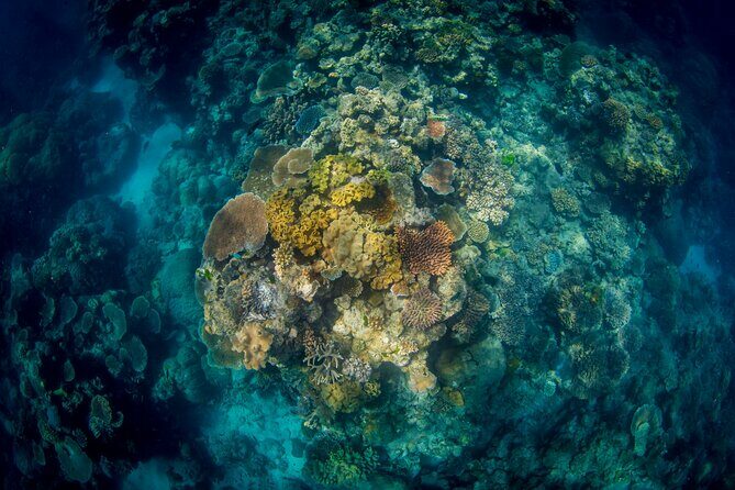 All Inclusive Great Barrier Reef Cruise w optional Scuba Diving - The Quality of Food and Equipment