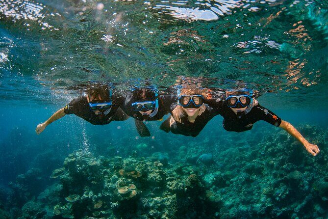 All Inclusive Great Barrier Reef Cruise w optional Scuba Diving - Final Thoughts