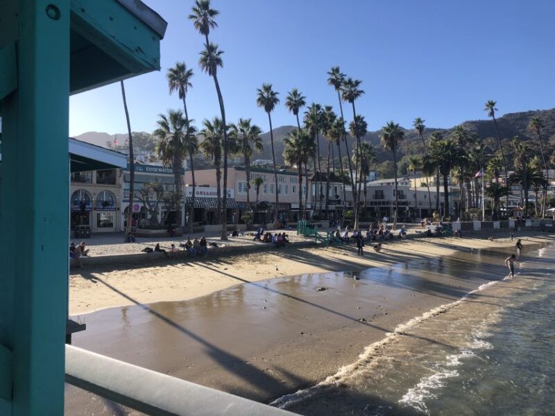 All-Inclusive Guided Tour of Catalina Island From Orange Co - Preparation and Accessibility