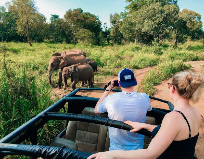 All-Inclusive Habarana Hurulu Eco Park Privet Halfday Safari - Safari Experience and Highlights