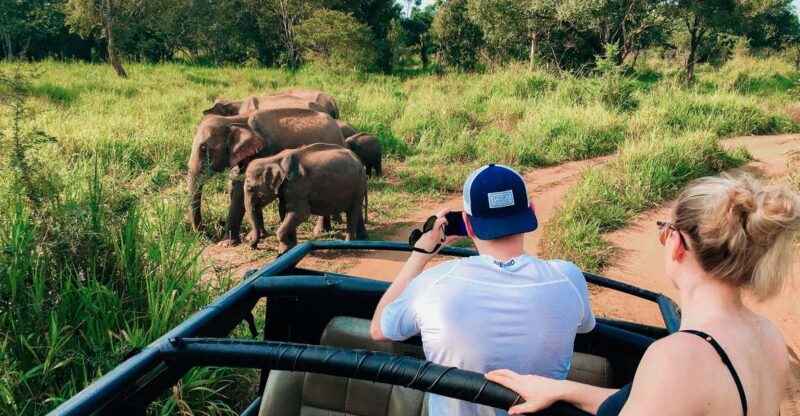 All-Inclusive Habarana Hurulu Eco Park Privet Halfday Safari - Itinerary and Logistics