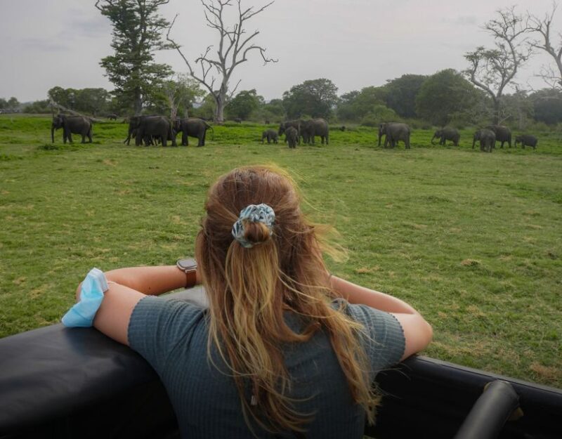 All-Inclusive Habarana Hurulu Eco Park Privet Halfday Safari - Morning Safari: Sunrise Awakening