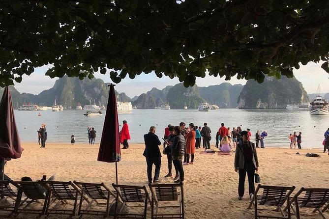 All-Inclusive: Halong Bay Full Day Trip With Ti Top Island, Surprising Cave - Traveler Reviews and Tips