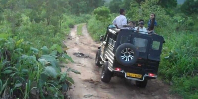 All-Inclusive Hiriwadunna Experience With Traditional Lunch. - Bullock Cart Ride