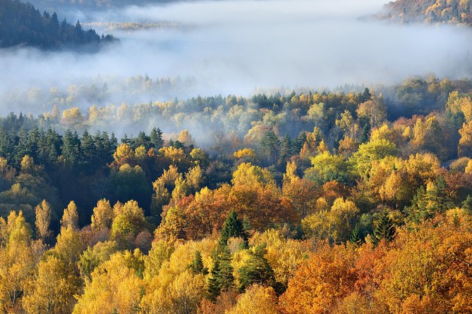 All Inclusive Honest History Tour - Āraiši, Cēsis, Līgatne, Sigulda - Savoring Traditional Latvian Cuisine
