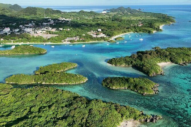 All-Inclusive Ishigaki Island Shore Excursion with English Guide - What’s Included and What’s Not