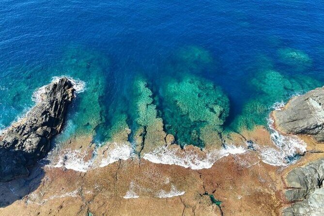 All-Inclusive Ishigaki Island Shore Excursion with English Guide - The Experience from Reviewers Perspectives