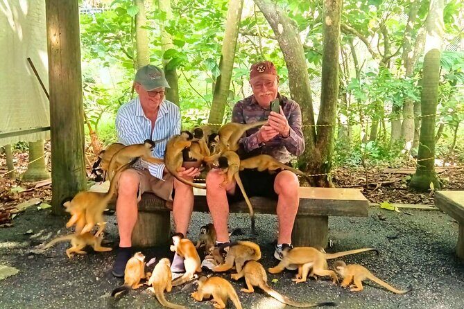 All-Inclusive Ishigaki Island Shore Excursion with English Guide - FAQ