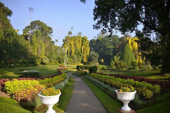 All Inclusive Kandy Private Day Tour From Colombo and Negombo - Discovering the Secrets of Kandy Lake