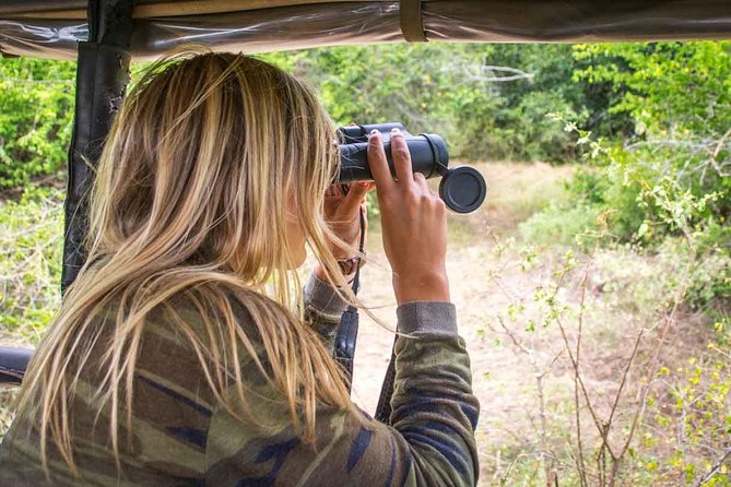 All Inclusive Leopard Nest Luxury Glamping Experience in Yala - Additional Tour Offerings