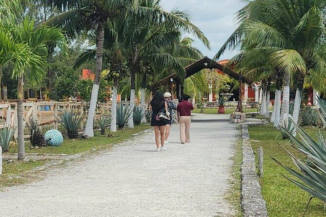All Inclusive Mayan Ruins EN Buggy & Snorkeling Tour - Frequently Asked Questions