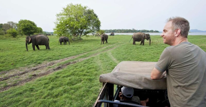 All-Inclusive Minneriya National Park Afternoon Safari - Pricing and Inclusions