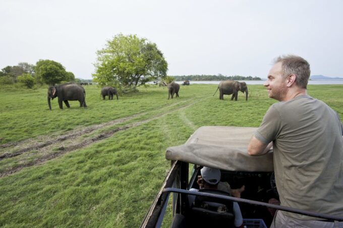 All-Inclusive Minneriya National Park Afternoon Safari - Suitability and Restrictions