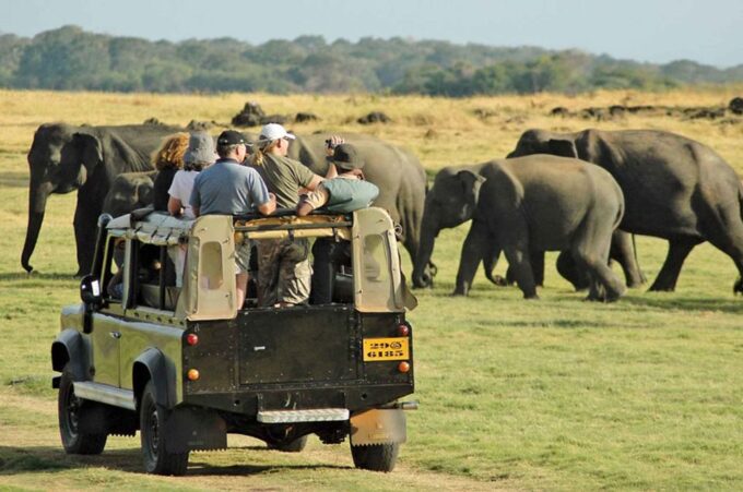All Inclusive Minneriya National Park & Hiriwadunna Village - Convenient Hotel Pickup