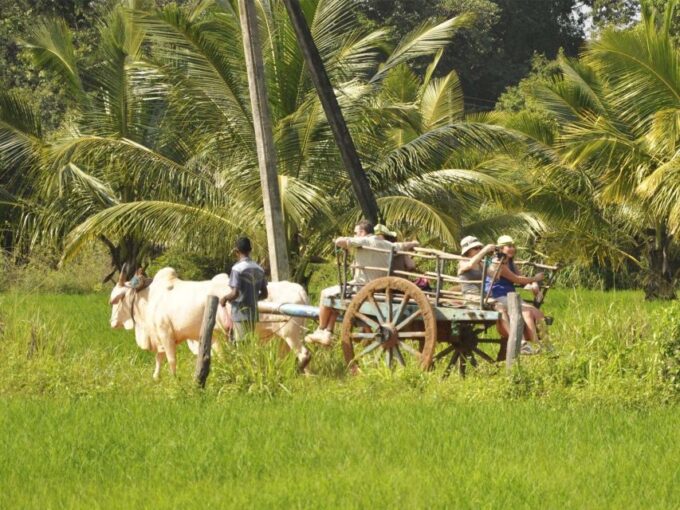 All Inclusive Minneriya National Park & Hiriwadunna Village - Suitability and Restrictions