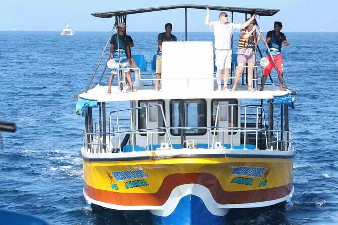 All Inclusive Mirissa Whale and Dolphin Watching Boat Ride - The Marine Life: What Youll Likely See