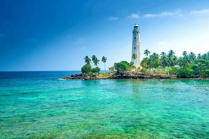 All Inclusive Mirissa Whale and Dolphin Watching Boat Ride - Cost and Value