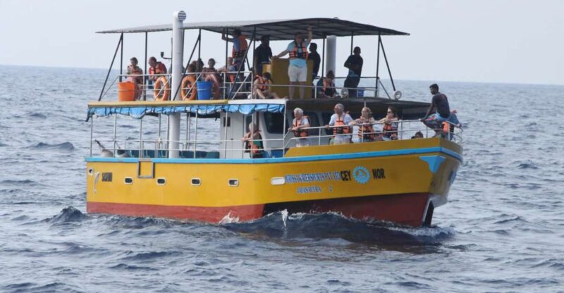 All Inclusive Mirissa Whale and Dolphin Watching Boat Ride - Price and Duration