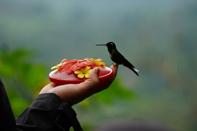 All Inclusive Multi Day Tour in Andes - Key Points