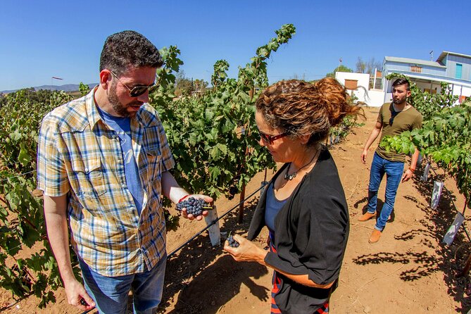 All-Inclusive Overnight Wine Tour. Round Trip From San Diego. - Transportation and Accessibility