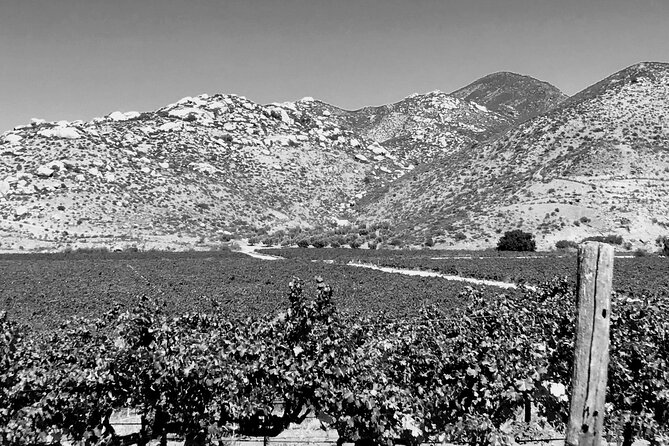 All-Inclusive Overnight Wine Tour. Round Trip From San Diego. - Pricing and Booking