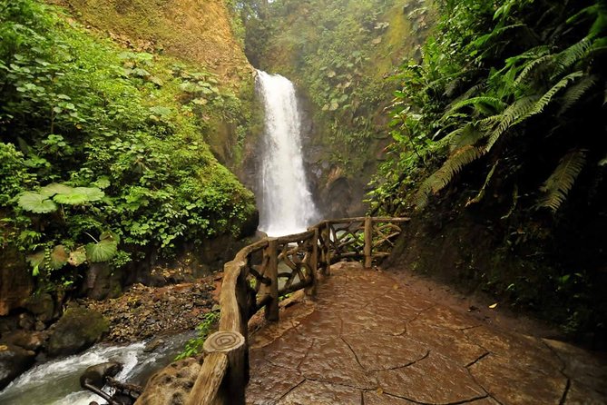 All-Inclusive Package 7 Nights 8 Days in the Best Destinations in Costa Rica - Customer Reviews and Experiences