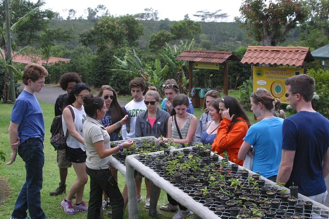 All-Inclusive Package 7 Nights 8 Days in the Best Destinations in Costa Rica - Customer Concerns and Resolutions