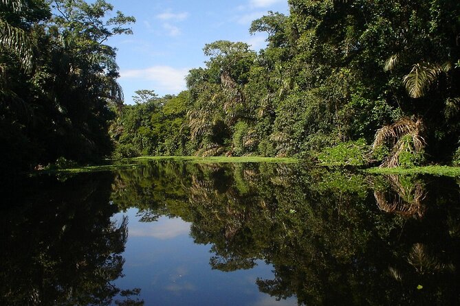 All-Inclusive Package in Tortuguero 2 Days 1 Night - Day 1 Accommodations
