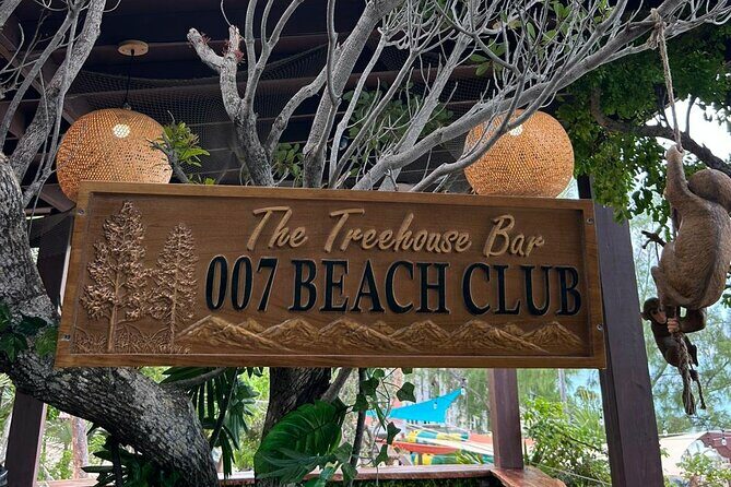 All Inclusive Pig Encounter, Snorkeling, Turtles, Lunch & Beach - A Closer Look at the Itinerary
