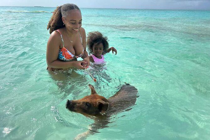 All Inclusive Pig Encounter, Snorkeling, Turtles, Lunch & Beach - Potential Drawbacks and Considerations